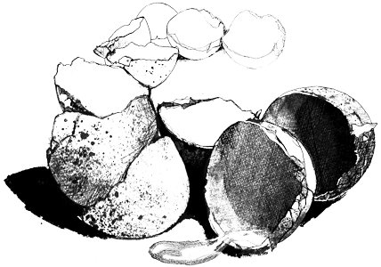 Perfect Circle by Jo Gatford Perfect Circle by Jo Gatford